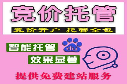 百度推广公司案例解析：如何通过百度推广实现品牌升级